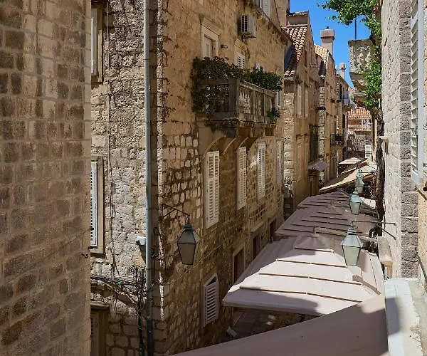 Nikol דוברובניק